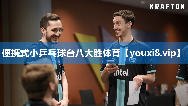 便携式小乒乓球台八大胜体育