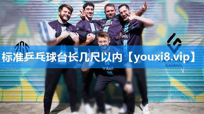 标准乒乓球台长几尺以内