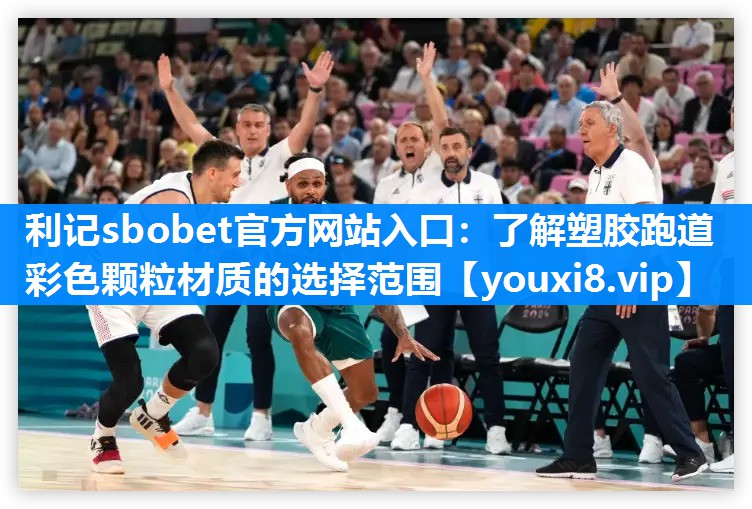 利记sbobet官方网站入口：了解塑胶跑道彩色颗粒材质的选择范围