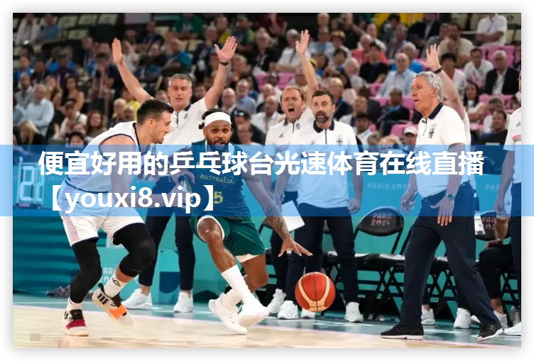 便宜好用的乒乓球台光速体育在线直播