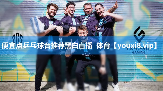 便宜点乒乓球台推荐黑白直播 体育