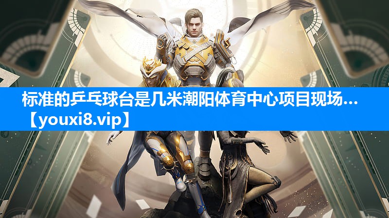 标准的乒乓球台是几米潮阳体育中心项目现场…