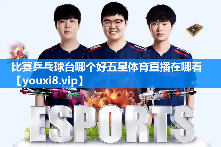 比赛乒乓球台哪个好五星体育直播在哪看