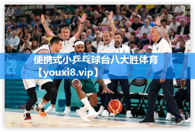 便携式小乒乓球台八大胜体育