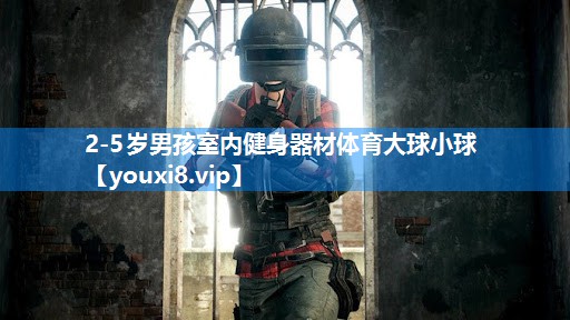 2-5岁男孩室内健身器材体育大球小球