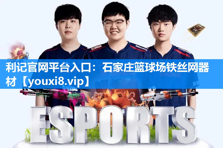 石家庄篮球场铁丝网器材