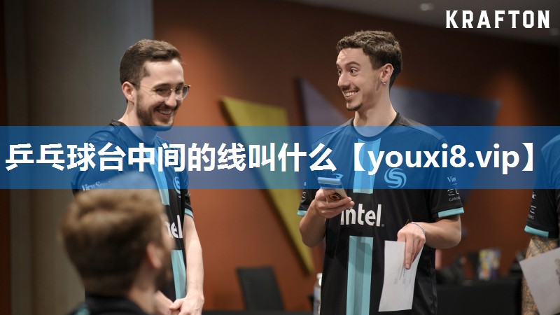 乒乓球台中间的线叫什么