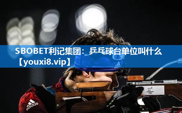 乒乓球台单位叫什么