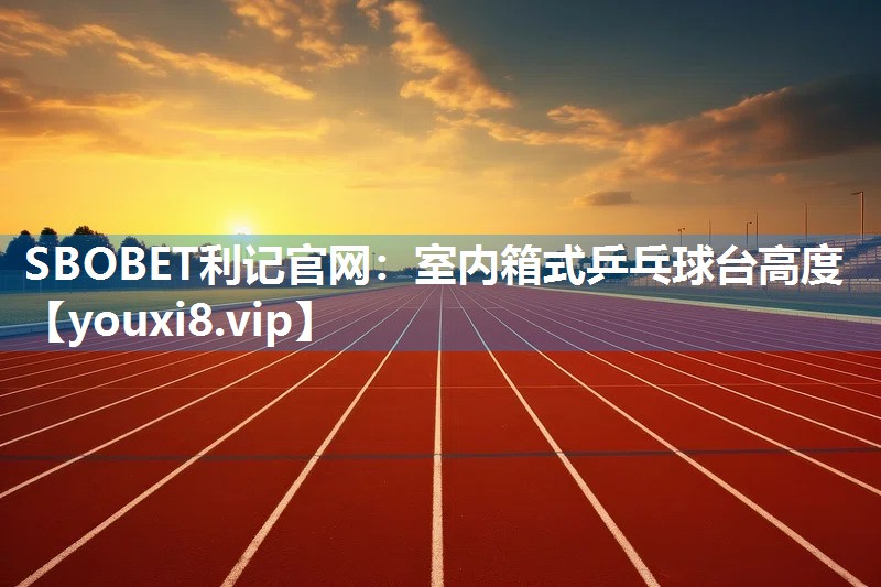 室内箱式乒乓球台高度
