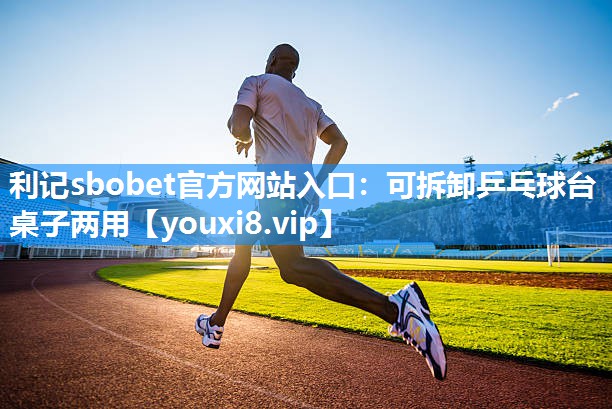 可拆卸乒乓球台桌子两用