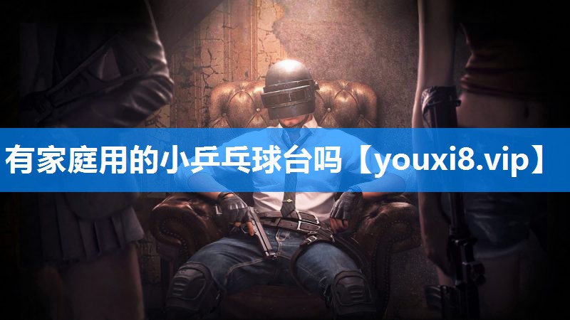 有家庭用的小乒乓球台吗