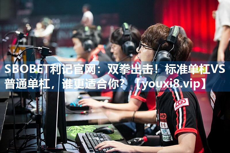 双拳出击！标准单杠VS普通单杠，谁更适合你？