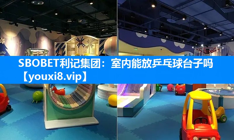 室内能放乒乓球台子吗