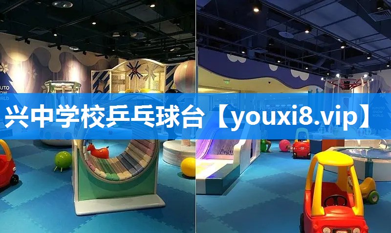 兴中学校乒乓球台