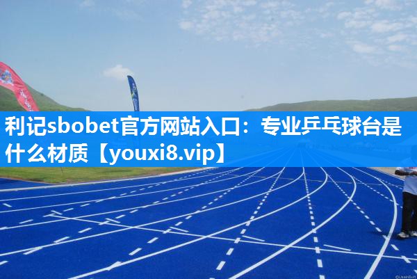 专业乒乓球台是什么材质